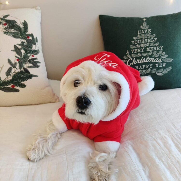 Weihnachtskostüm für Hunde mit Namen