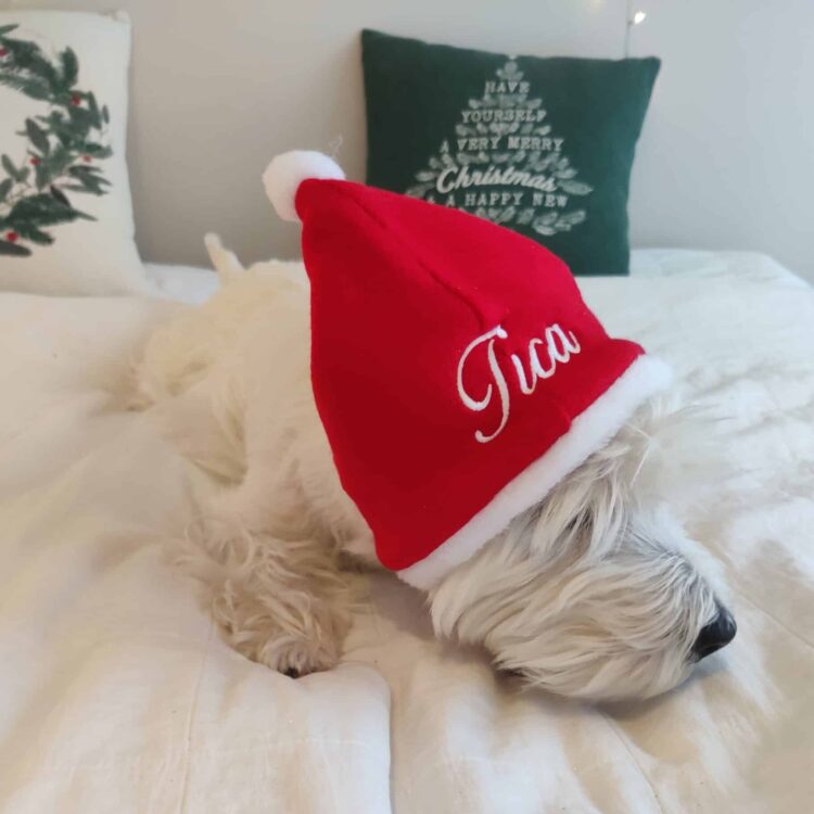 Weihnachtsmütze für Hunde mit Namen